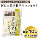 5位! 口コミ数「2件」評価「5」【令和5年産米】新潟県加茂市産 特別栽培米コシヒカリ 精米10kg（5kg×2）選べる配送回数（通常配送1回～定期便12回）白米 従来品種コ･･･ 