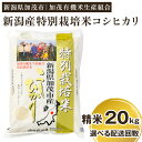 28位! 口コミ数「0件」評価「0」【令和5年産米】新潟県加茂市産 特別栽培米コシヒカリ 精米20kg（5kg×4）選べる配送回数（通常配送1回～定期便12回）白米 従来品種コ･･･ 