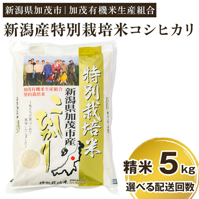 【ふるさと納税】令和5年産 新潟県加茂市産 特別栽培米コシヒカリ 精米5kg 選べる配送回数（通常配送1...