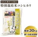 【ふるさと納税】【令和7年産新米先行予約】 新潟県加茂市産 特別栽培米コシヒカリ 精米30kg(5kg×6) 選べる配送回数(通常配送1回〜定期便12回) 《10月中旬から順次出荷》 白米 従来品種コシヒカリ 加茂有機米生産組合(4)