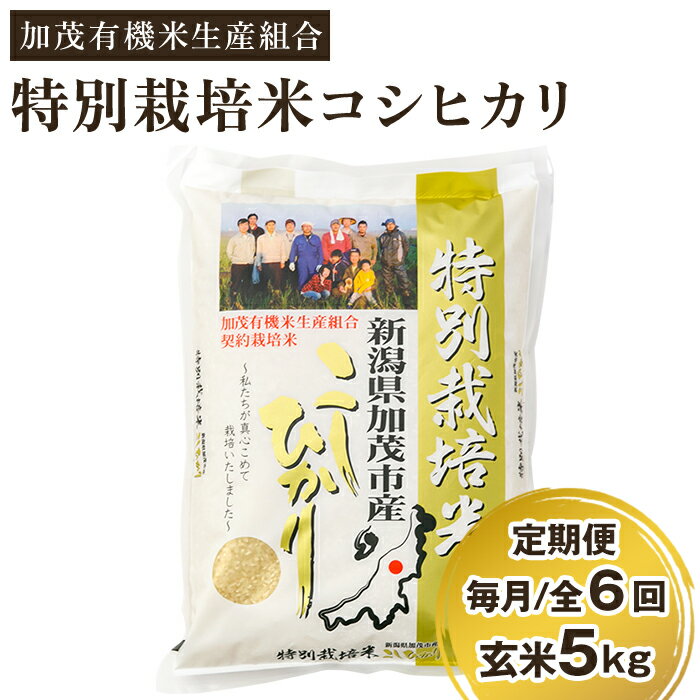 【ふるさと納税】【定期便6ヶ月毎月お届け】新潟県加茂市産 特別栽培米コシヒカリ 玄米5kg 従来品種コシヒカリ 加茂有機米生産組合