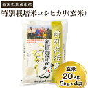 【ふるさと納税】【令和5年産米】新潟県加茂市産 特別栽培米コシヒカリ 玄米20kg（5kg×4）従来品種コシヒカリ 加茂有機米生産組合