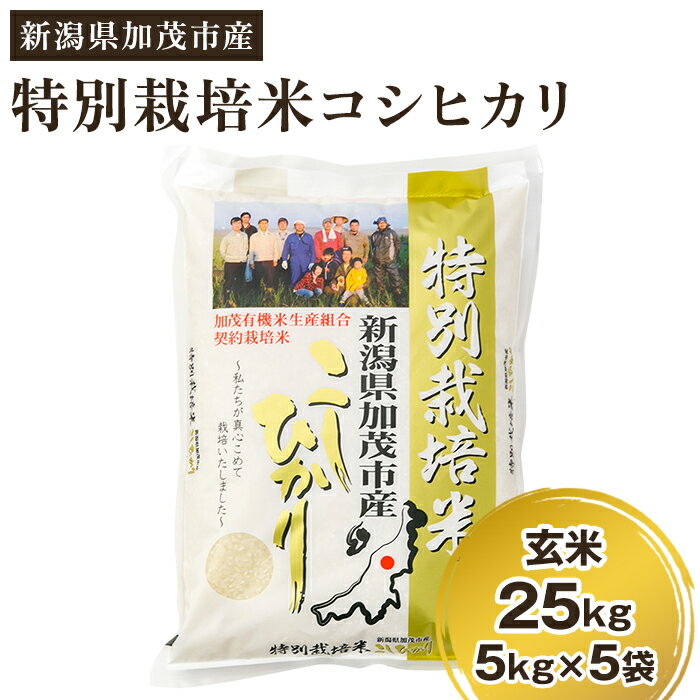 【ふるさと納税】新潟県加茂市産 特別栽培米コシヒカリ 玄米25kg（5kg×5）従来品種コシヒカリ 加茂有機米生産組合