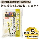 4位! 口コミ数「2件」評価「5」【令和5年産米】新潟県加茂市産 特別栽培米コシヒカリ 玄米5kg 選べる配送回数（通常配送1回～定期便12回）従来品種コシヒカリ 加茂有機米･･･ 