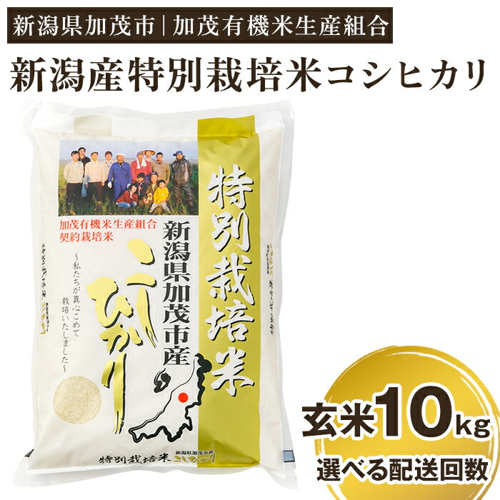 【ふるさと納税】令和5年産 新潟県加茂市産 特別栽培米コシヒカリ 玄米10kg（5kg×2）選べる配送回数（...