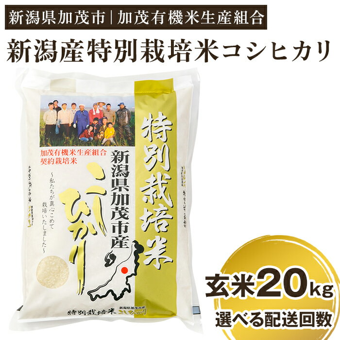 【ふるさと納税】【令和5年産米】新潟県加茂市産 特別栽培米コシヒカリ 玄米20kg（5kg×4）選べる配送回数（通常配送1回～定期便12回）従来品種コシヒカリ 加茂有機米生産組合