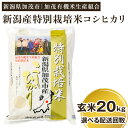 【ふるさと納税】【令和5年産米】新潟県加茂市産 特別栽培米コシヒカリ 玄米20kg（5kg×4）選べる配送回数（通常配送1回～定期便12回）従来品種コシヒカリ 加茂有機米生産組合 1