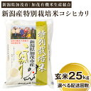 20位! 口コミ数「0件」評価「0」【令和5年産米】新潟県加茂市産 特別栽培米コシヒカリ 玄米25kg（5kg×5）選べる配送回数（通常配送1回～定期便12回）従来品種コシヒカ･･･ 