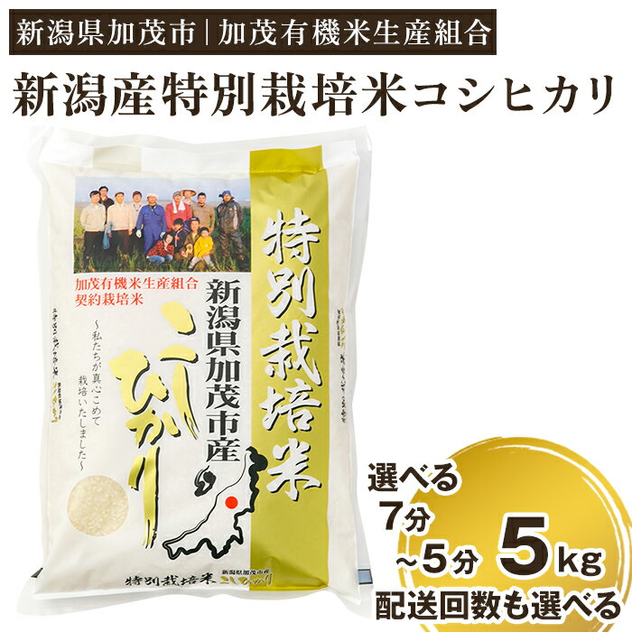 【ふるさと納税】【令和5年産米】【分づき米】新潟県加茂市産 特別栽培米コシヒカリ 精米5kg 選べる配送回数・精米歩合（通常配送1回～定期便6回 / 7分づき or 5分づき）従来品種コシヒカリ 加茂有機米生産組合