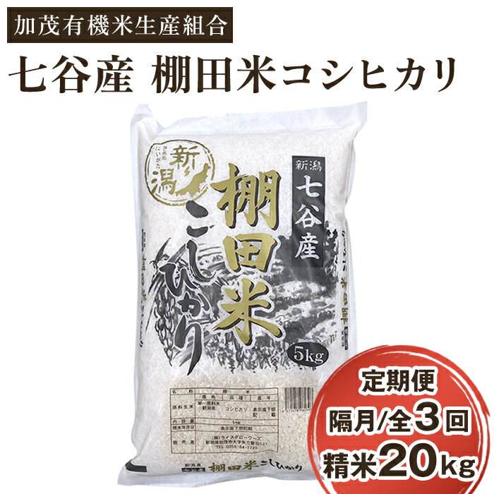 【ふるさと納税】【定期便3回隔月お届け】新潟県加茂市 七谷産 棚田米コシヒカリ 精米20kg（5kg×4）白米 加茂有機米生産組合