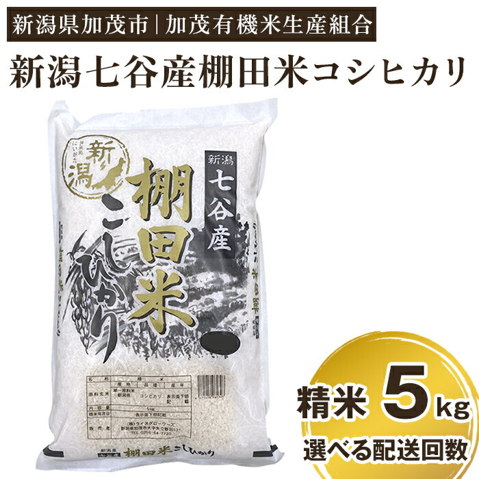 【ふるさと納税】令和5年産 新潟県加茂市 七谷産 棚田米コシヒカリ 精米5kg 選べる配送回数（通常配送...