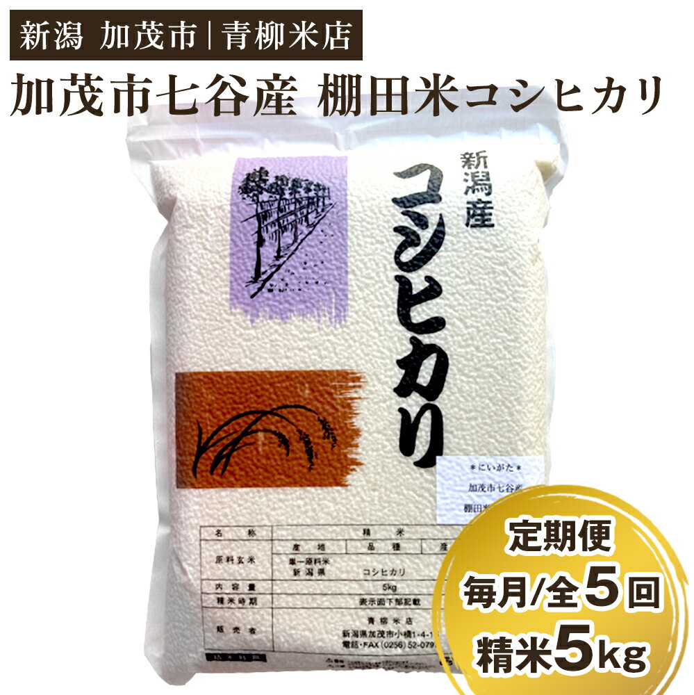 【ふるさと納税】【定期便5ヶ月毎月お届け】新潟産コシヒカリ 加茂市七谷産 棚田米 精米5kg 白米 真空パック 青柳米店