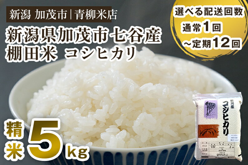 【ふるさと納税】【令和5年産米】新潟産コシヒカリ 加茂市七谷産 棚田米 精米5kg 選べる配送回数（通常1回～定期便12か月）白米 真空パック 青柳米店