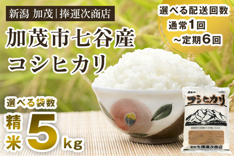 令和5年産 新潟県加茂市七谷産コシヒカリ 精米5kg 選べる配送回数(通常配送1回〜定期便12回) 白米 捧運次商店