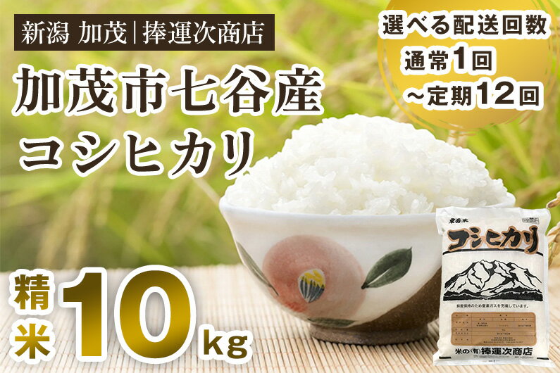 20位! 口コミ数「0件」評価「0」令和5年産 新潟県加茂市七谷産コシヒカリ 精米10kg（5kg×2）選べる配送回数（通常配送1回～定期便12回） 白米 捧運次商店