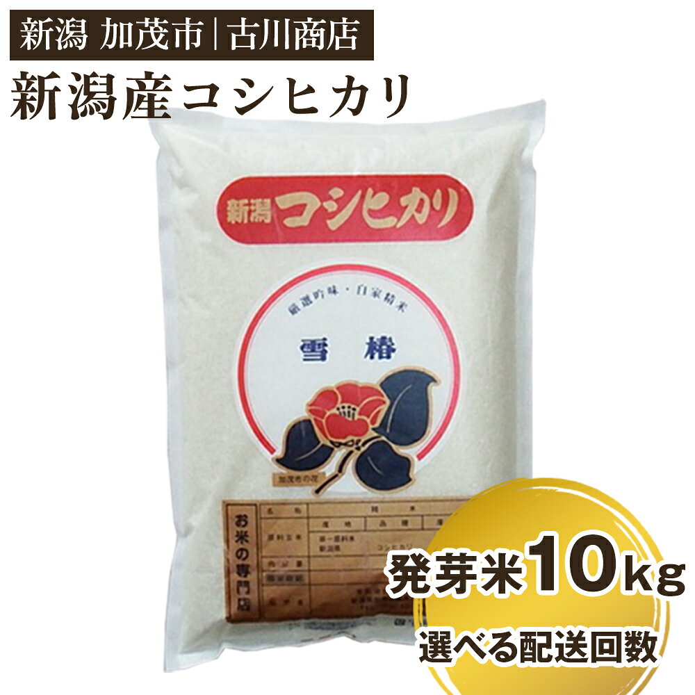 令和5年産 新潟県加茂市産コシヒカリ 胚芽米10kg 選べる配送回数（通常配送1回〜定期便12回） お米の専門店 古川商店