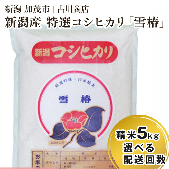 令和5年産 新潟県産 特選コシヒカリ「雪椿」精米5kg 選べる配送回数(通常配送1回〜定期便12回) 白米 加茂市 お米の専門店 古川商店