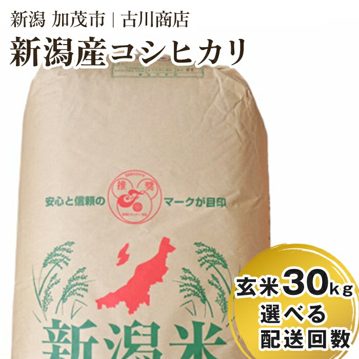 【ふるさと納税】令和5年産 新潟県加茂市産コシヒカリ 玄米3