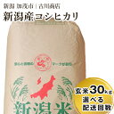 【ふるさと納税】令和5年産 新潟県加茂市産コシヒカリ 玄米3