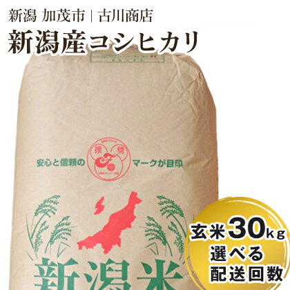 令和5年産 新潟県加茂市産コシヒカリ 玄米30kg 一等米 【選べる配送回数（通常配送1回～定期便12回）】 お米の専門店 古川商店