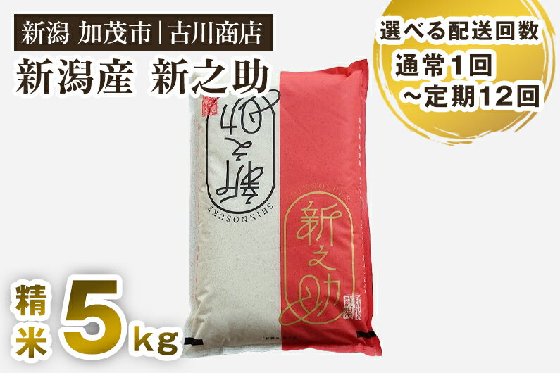 令和5年産 新潟の新ブランド米「新之助」精米5kg [選べる配送回数(通常配送1回〜定期便12回)] 白米 大粒 加茂市 お米の専門店 古川商店