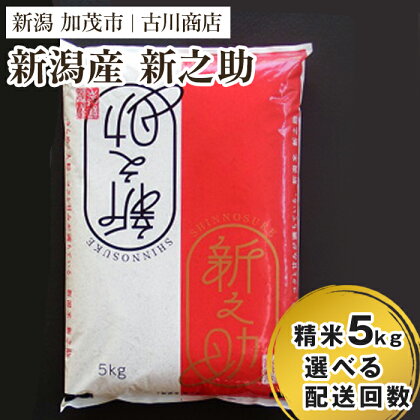 【令和5年産米】新潟の新ブランド米「新之助」精米5kg 【選べる配送回数（通常配送1回～定期便12回）】 白米 大粒 加茂市 お米の専門店 古川商店