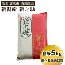 【ふるさと納税】【令和6年産米】新潟の新ブランド米「新之助」精米5kg 【選べる配送回数(通常配送1回~定期便12回)】 白米 大粒 加茂市 お米の専門店 古川商店