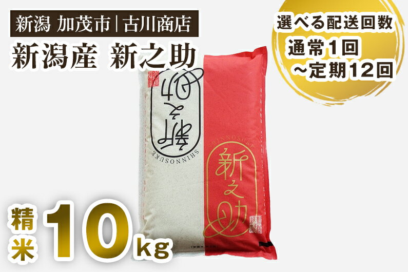 【ふるさと納税】【令和5年産米】新潟の新ブランド米「新之助」精米10kg （5kg×2）【 選べる配送回数（通常配送1回～定期便12回） 】白米 大粒 加茂市 お米の専門店 古川商店