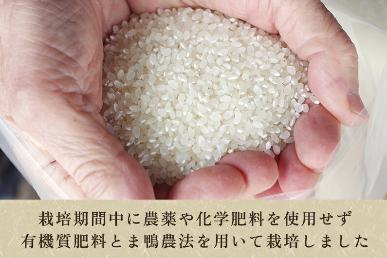 新潟県加茂市の画像3