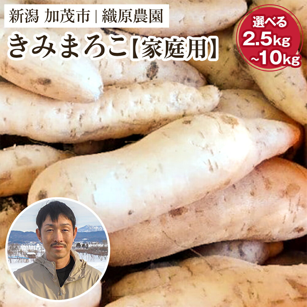 新潟県加茂市より「きみまろこ」をお届けします。 無選別のため大きさ、形は不揃い、多少のキズ、虫食いがある為【家庭用】です。 栽培期間中は農薬、化学肥料不使用。身体に優しいさつまいもです。 小さなお子様でも安心して食べて頂けるよう日々努力しています。 管理機で草を抑制して、特製の肥料を使用しています。 品質保持のため軽く土を払った状態で発送いたします。 最低30日以上熟成！じっくり引き出した甘さと美味しさの「きみまろこ」をお届けします。 焼き芋、天ぷら、スイートポテトがおすすめ。 返礼品説明 名称 【家庭用】新潟県 加茂市産 きみまろこ 選べる内容量 2.5kg5kg10kg※配達途中で芋が傷む恐れがありますので200gほど多めに入れます。 賞味期限 生ものですのでお早めにお召し上がりください。 配送 ヤマト運輸（通常便） 保存方法 10℃以下になりますと傷みますので、暖かい場所で保管してください。 提供事業者 織原農園30日以上熟成！甘くて美味しい「きみまろこ」！焼き芋、天ぷら、スイートポテトがおすすめです。