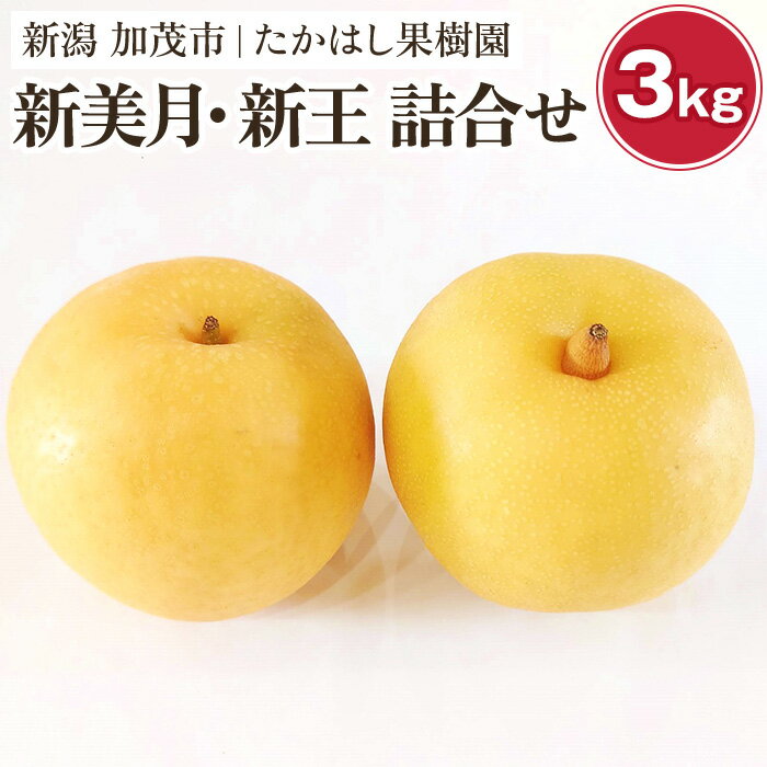 【ふるさと納税】新潟県産和梨 新美月 新王 2品種詰め合わせ 約3kg《2023年9月中旬以降配送》果物 フルーツギフト 秋の味覚 産地直送加茂市 たかはし果樹園のサムネイル