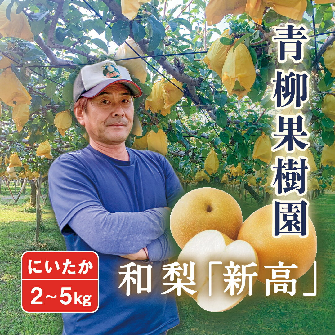 【ふるさと納税】【2024年先行予約】和梨 新高 選べる「2kg」or「3kg」or「5kg」新潟県産 [青柳果樹園] 《10月上旬～順次出荷》[0459]のサムネイル