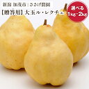 新潟特産 幻の洋梨ル・レクチェ プレミアム （大玉）「1kg」or「2kg」 《11月下旬～12月中旬お届け》 果物 フルーツギフト 冬の味覚 産地直送加茂市 ささげ農園