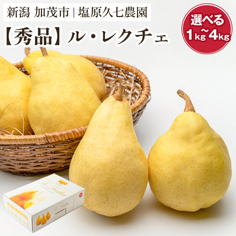 新潟特産 幻の洋梨ル・レクチェ 秀品 「約2kg」or「約3kg」or「約4kg」 《11月下旬から順次発送》 果物 フルーツギフト 冬の味覚 産地直送 加茂市 塩原久七農園