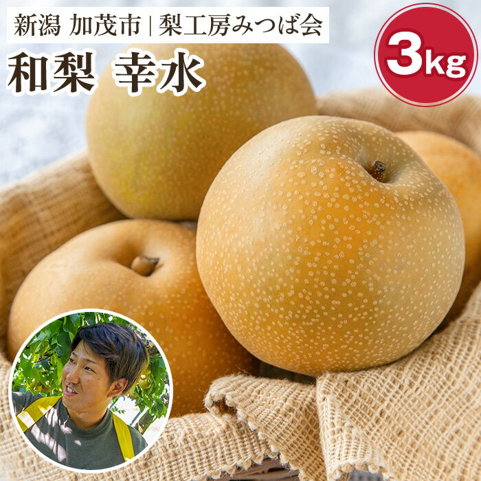 【ふるさと納税】【2024年先行予約】和梨 幸水 3Kg（7～10玉）新潟県産《8月中旬以降発送》こうすい 果物 フルーツギフト 秋の味覚 加茂市 梨工房みつば会･･･