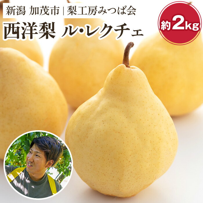 【ふるさと納税】【2024年先行予約】新潟特産 幻の洋梨ル・レクチェ 【家庭用】2Kg（5～7玉）《11月下旬以降発送》果物 フルーツギフト 秋の味覚 加茂市 梨工房みつば会 1