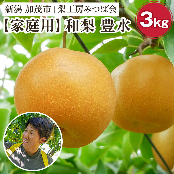 【ふるさと納税】【2026年】【家庭用】和梨 豊水 3kg（6～10玉）《順次発送》ほうすい 果物 フルーツ 秋の味覚 加茂市 梨工房みつば会