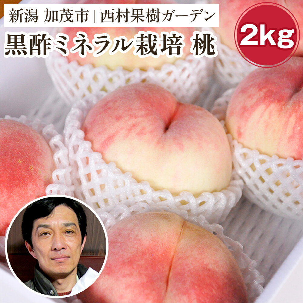 2位! 口コミ数「0件」評価「0」【2024年先行予約】新潟産 西村の黒酢ミネラル栽培 桃 2kg（6～10玉）《7月下旬以降発送》玄米黒酢やヨーグルトを散布して育てた桃 果･･･ 