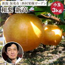 【ふるさと納税】【2025年先行予約】西村の黒酢ミネラル栽培 和梨 「新高(小玉)」 3kg(7~10玉)《10月上旬~順次発送》にいたか 梨 和梨 玄米黒酢やヨーグルトを散布して育てた梨 果物 フルーツ ギフト 加茂市 西村果樹ガーデン