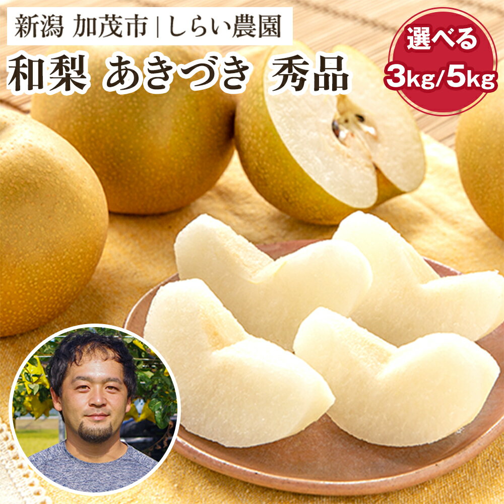 [2025年先行予約]しらい農園のあきづき 秀品 選べる「3kg」or「5kg」[9月下旬から順次発送] 果実 フルーツ 贈答 ギフト 甘くてジューシーな梨 なし 秋月 加茂市 しらい農園