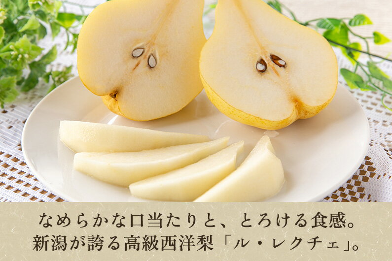 【ふるさと納税】【2025年先行予約】【家庭用】 西洋梨ル・レクチェ 「約2kg」or「約3kg」or「約4kg」 《11月下旬以降発送》 幻の洋梨 フルーツ 新潟の冬の味覚 加茂市 いりえくだもの園