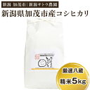 29位! 口コミ数「0件」評価「0」【令和5年産米】化学肥料不使用の従来コシヒカリ【厳選八蔵5kg】特別栽培 有機肥料で育った厳選米 加茂市 新潟サトウ農園