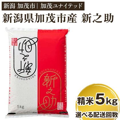 令和5年産 新潟県産 新之助 精米5kg 選べる配送回数 （通常配送1回～定期便12回） 精米 白米 新潟 ブランド米 加茂市 加茂ユナイテッド