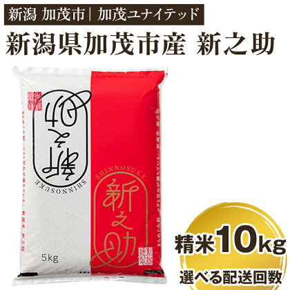 令和5年産 新潟県産 新之助 精米10kg（5kg×2）選べる配送回数 （通常配送1回～定期便12回） 精米 白米 新潟 ブランド米 加茂市 加茂ユナイテッド