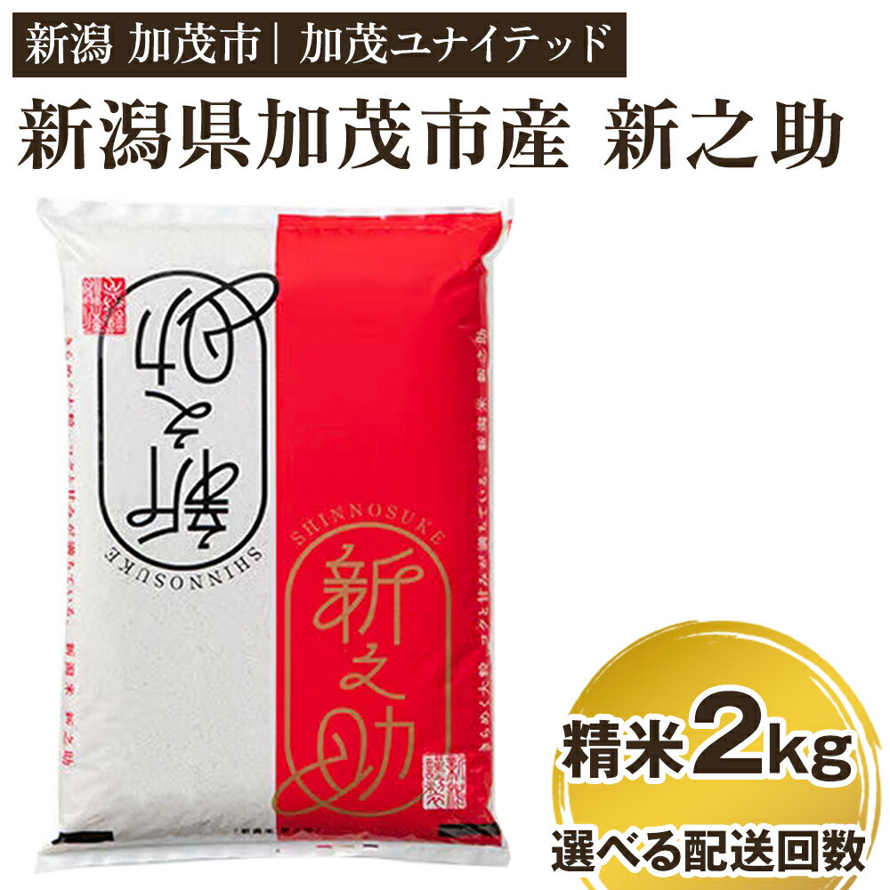 【ふるさと納税】令和5年産 新潟県産 新之助 精米2kg 【選べる配送回数 （通常配送1回～定期便12回）...