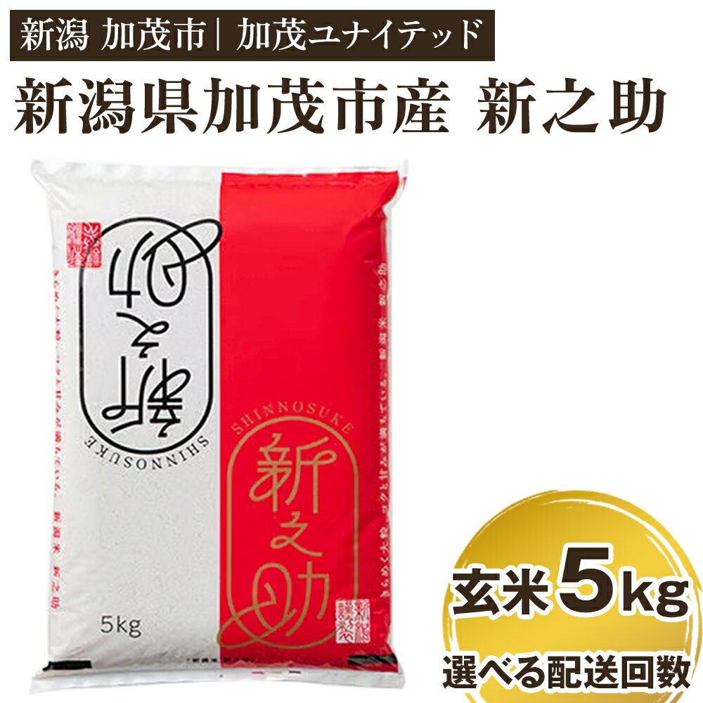 【ふるさと納税】令和5年産 新潟県産 新之助 玄米5kg 選べる配送回数 （通常配送1回～定期便12回） 新...