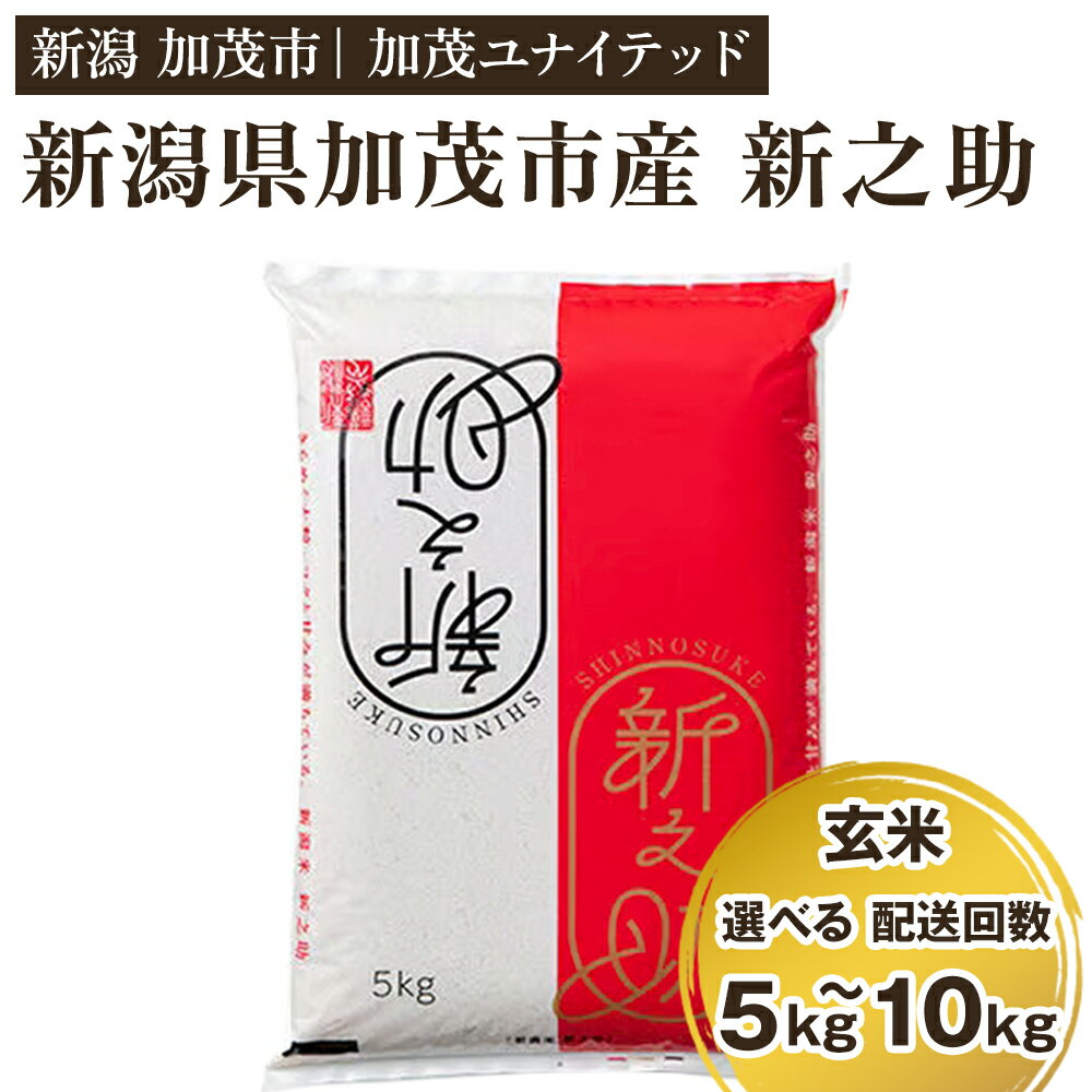 【ふるさと納税】【選べる1回購入 or 定期便】新潟県産 新之助 玄米 《選べる5kg・10kg》 新潟 ブランド米 加茂市 加茂ユナイテッド