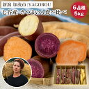 6種食べ比べセット5kg（M～LLサイズ）さつまいも《11月下旬～順次発送》人気品種 食べ比べ 濃厚な甘み 低温熟成 蒸し芋や焼き芋、スイートポテトなどのスイーツに 加茂市 YAGOROU ヤゴロウ