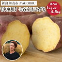 【ふるさと納税】【2025年先行予約】【家庭用】紅あずま (A品・B品混在)選べる 「1kg」 or 「4.5kg」 新潟県加茂市七谷産 さつまいも《10月下旬~順次発送》 サツマイモ お芋 焼き芋 スイートポテト 野菜 根菜 低温熟成 加茂市 YAGOROU ヤゴロウ