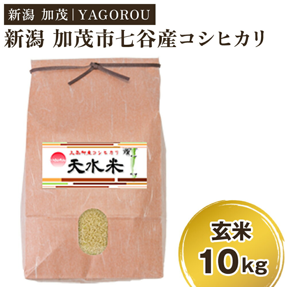 [2024年先行予約]令和6年産新米 新潟県加茂市 七谷産コシヒカリ 玄米10kg [10月上旬〜順次発送] 新潟産コシヒカリ 豊かな山水で育った天水米 加茂市 YAGOROU ヤゴロウ